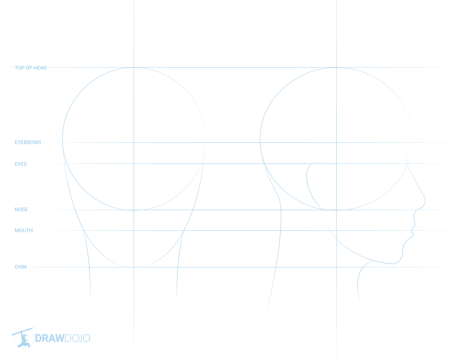 Face & Profile Proportion Guide
